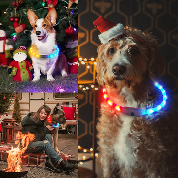 Silicone LED Pet Collar